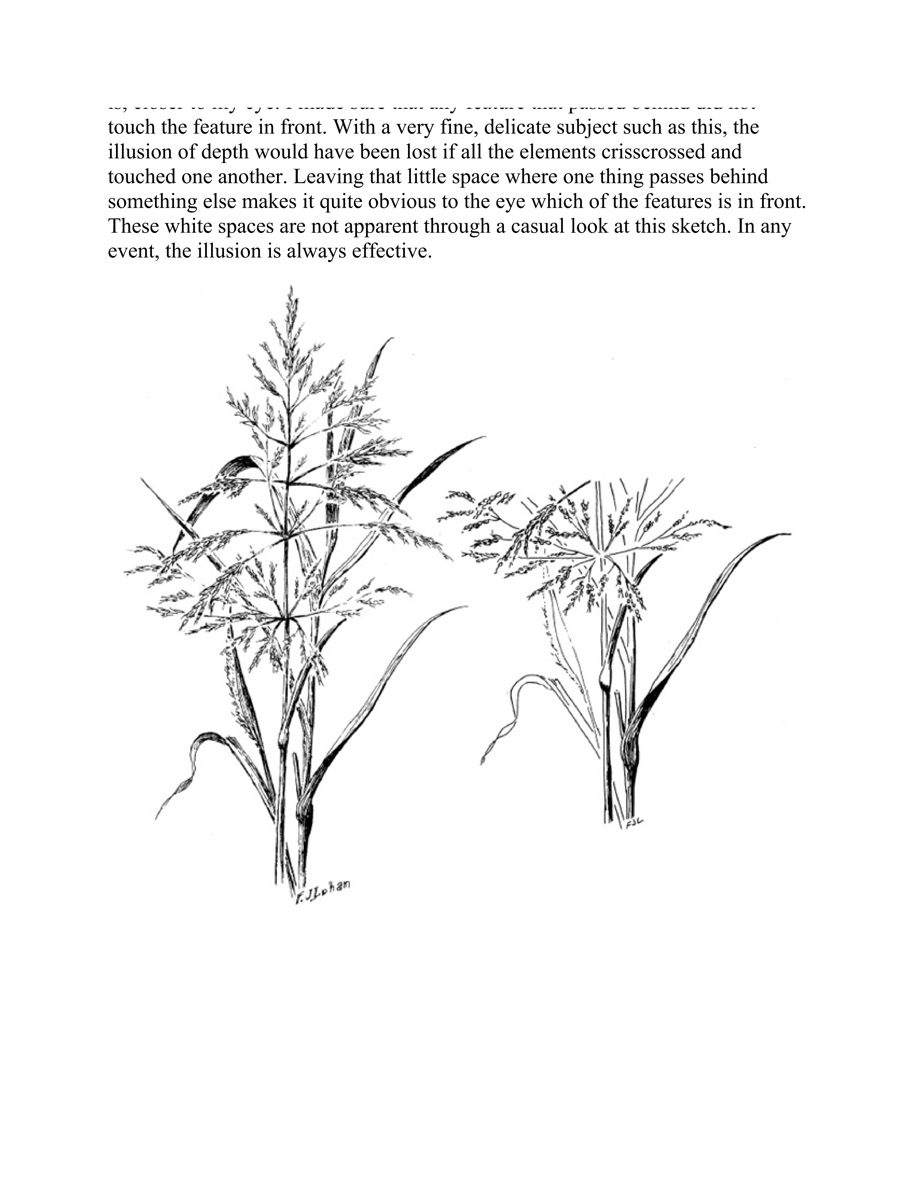 آموزش نقاشی طراحی سیاه قلم شهرری